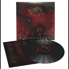 Ruim Black Royal Spiritism: I. O…  (LP)