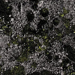 King Gizzard &amp; The Lizard Wizard Infest The Rats Nest: Live… - LTD (LP)