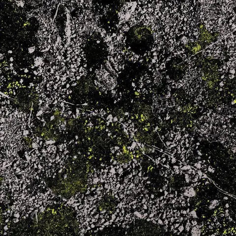 King Gizzard & The Lizard Wizard Infest The Rats Nest: Live… - LTD (LP) 