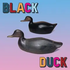 Black Duck Black Duck - LTD (LP)