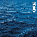 Brad In The Moment That You're… - LTD (LP)