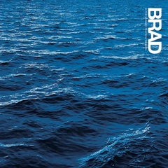 Brad In The Moment That You're… - LTD (LP)