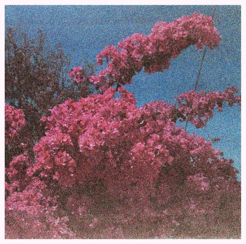 Elisabeth Klinck Picture A Frame (LP) 