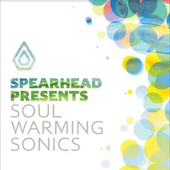 Diverse Artister Soul Warming Sonics (3LP)