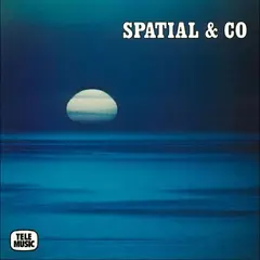 Sauveur Mallia Spatial &amp; Co (LP)