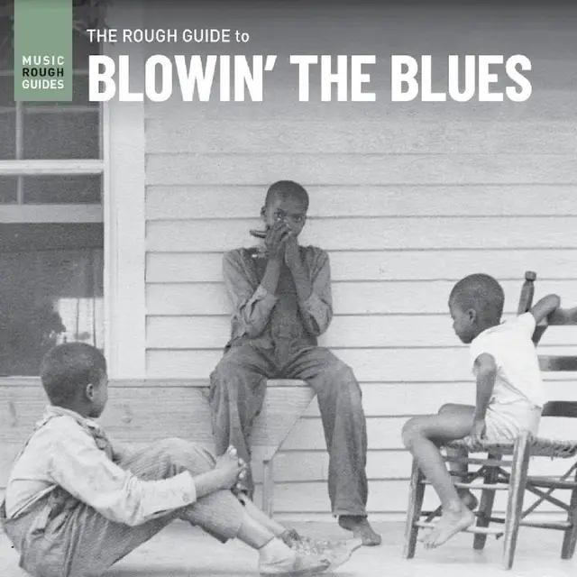 Diverse Artister The Rough Guide To Blowin' The… (LP) 