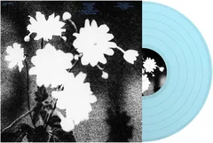 Loma Prieta Last (LP)