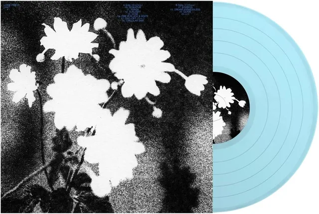 Loma Prieta Last (LP) 