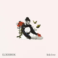 Elderbrook Little Love (LP)