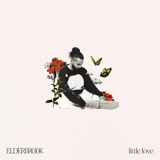 Elderbrook Little Love (LP)
