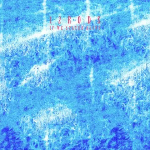 12 Rods If We Stayed Alive (LP) 