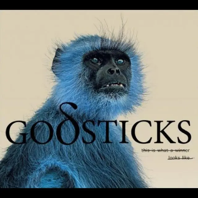 Godsticks This Is What A Winner Looks Like (LP) 