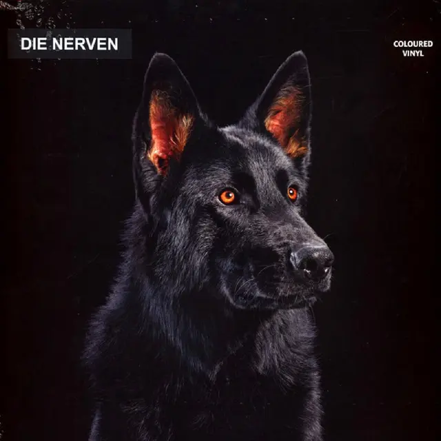 Die Nerven Die Nerven - LTD (LP) 