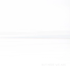 Foo Fighters But Here We Are (LP)