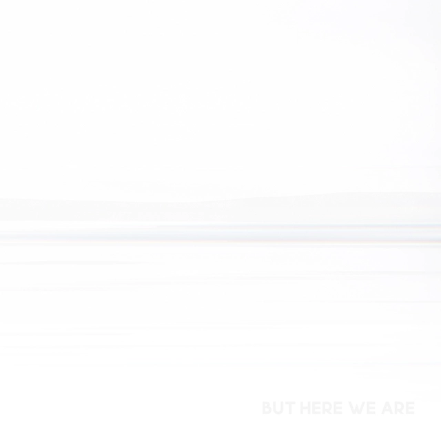 Foo Fighters But Here We Are (LP) 