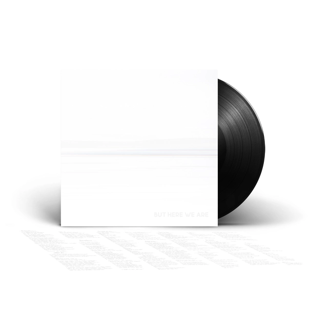 Foo Fighters But Here We Are (LP) 