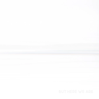 Foo Fighters But Here We Are (CD)