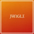 Jungle Volcano (LP)