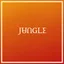 Jungle Volcano (LP)