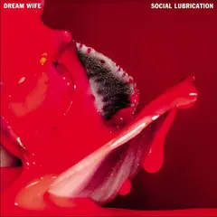 Dream Wife Social Lubrication - LTD (LP)