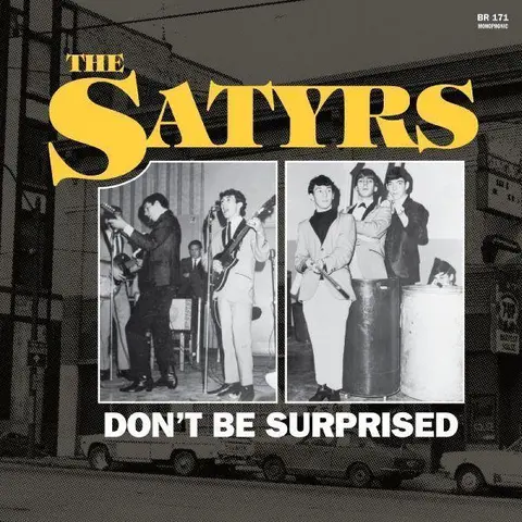 The Satyrs Don't Be Surprised - LTD (LP) 