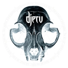 Djerv Djerv - LTD (LP)