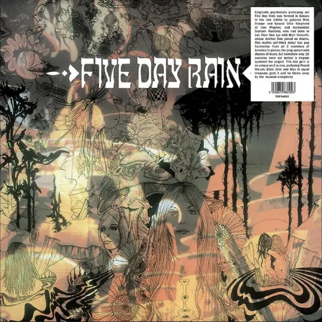 Five Day Rain Five Day Rain (LP) 