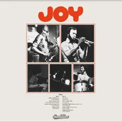 Joy Joy (LP)
