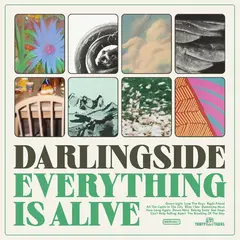 Darlingside Everything Is Alive (LP)