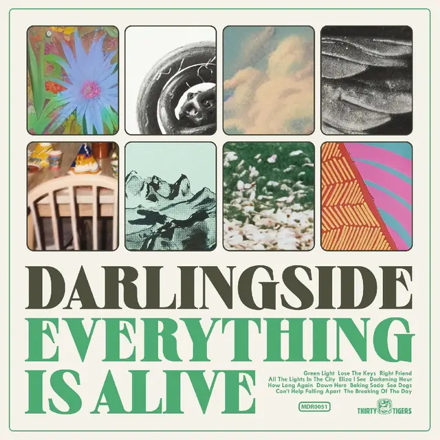 Darlingside Everything Is Alive (LP) 