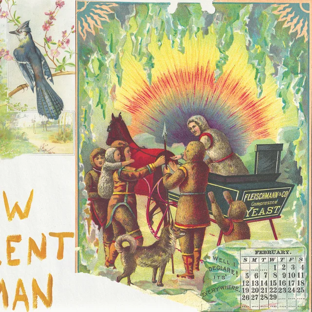 Asher White New Excellent Woman (LP) 
