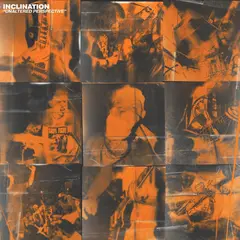 Inclination Unaltered Perspective - LTD (LP)
