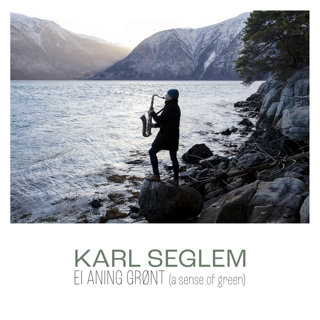 Karl Seglem Ei Aning Grønt (CD) 