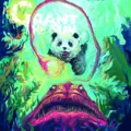 Grant The Sun Voyage (LP)