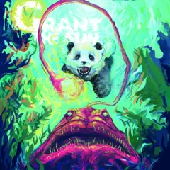 Grant The Sun Voyage (LP)
