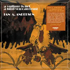 Ian A. Anderson A Vulture Is Not A Bird You Can… (LP)
