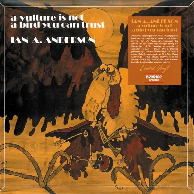 Ian A. Anderson A Vulture Is Not A Bird You Can… (LP) 