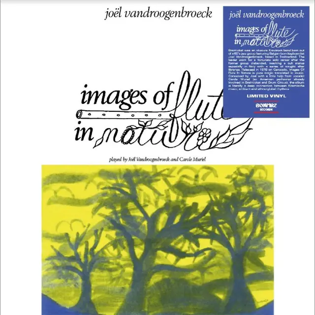 Joel Vandroogenbroeck Images Of Flute In Nature (LP) 