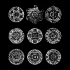 John Zorn &amp; Bill Laswell Memoria (CD)