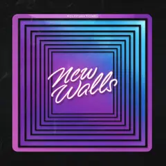 Polyfunktional New Walls (7")