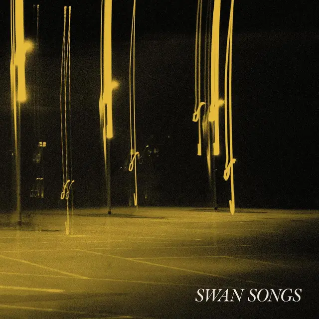 Swan Songs A Different Kind Of Light (LP) 