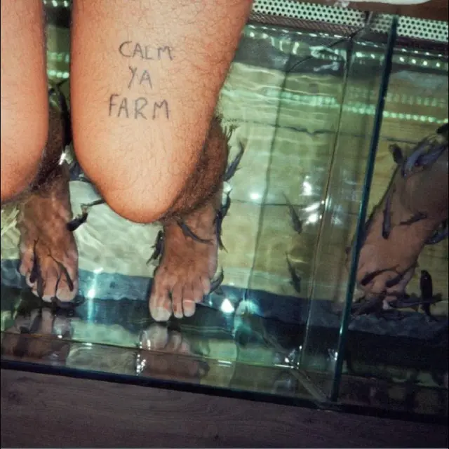 The Murlocs Calm Ya Farm - LTD (LP) 