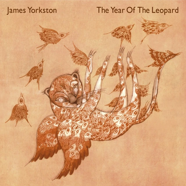 James Yorkston The Year Of The Leopard (2LP) 