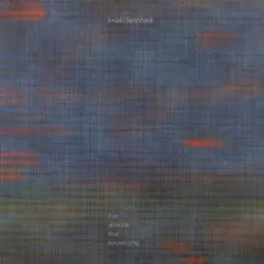 Josiah Steinbrick For Anyone That Knows You (LP)