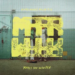 Mary Anne's Polar Rig Makes You Wonder - LTD (2LP)