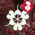 Björk The Fossora Remixes - RSD (12")
