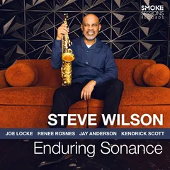 Steve Wilson Enduring Sonance (LP)