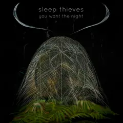 Sleep Thieves You Want The Night (LP)