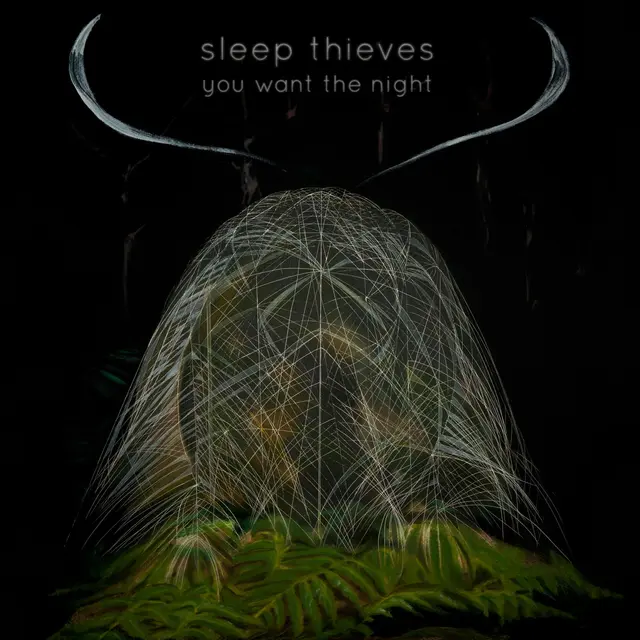 Sleep Thieves You Want The Night (LP) 