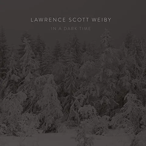 Lawrence Scott Weiby In A Dark Time (LP) 